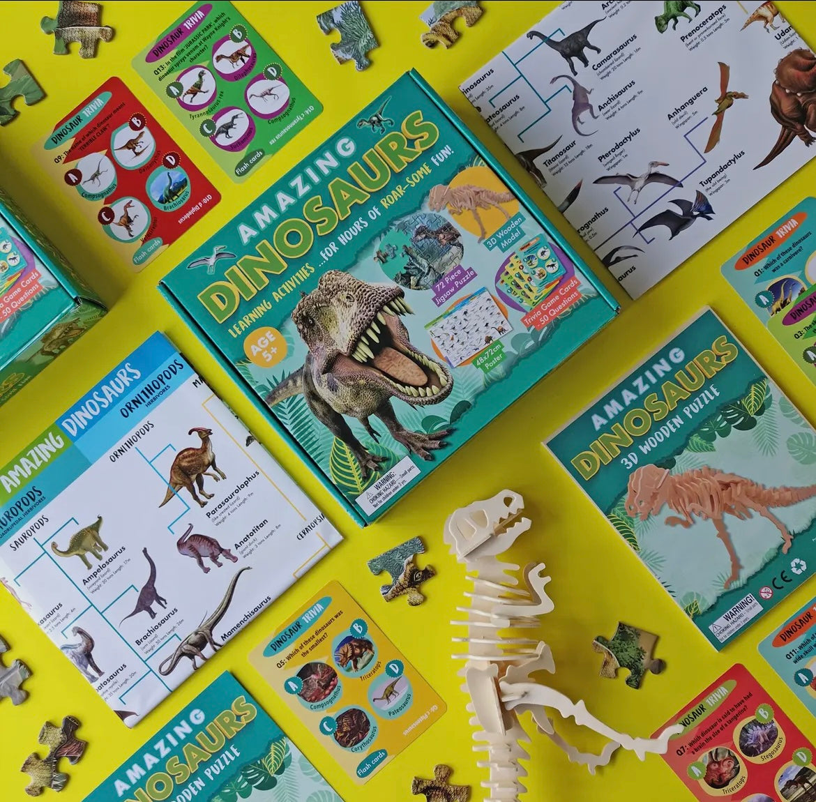 Amazing Dinosaurs- Activity Box Set